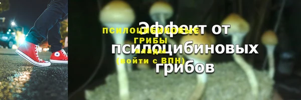 mdpv Михайловск