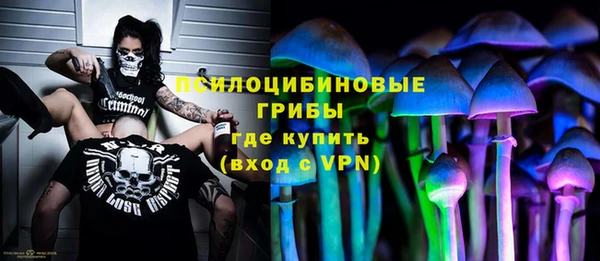 ПСИЛОЦИБИНОВЫЕ ГРИБЫ Медногорск